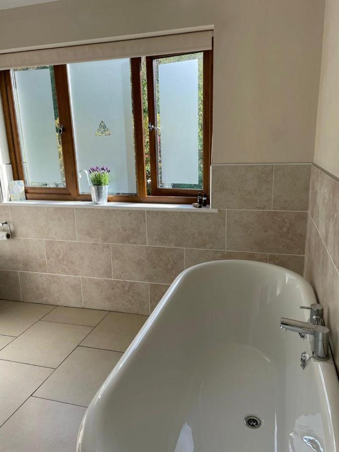 Roseberry House Bed & Breakfast Newcastle Emlyn Exterior photo